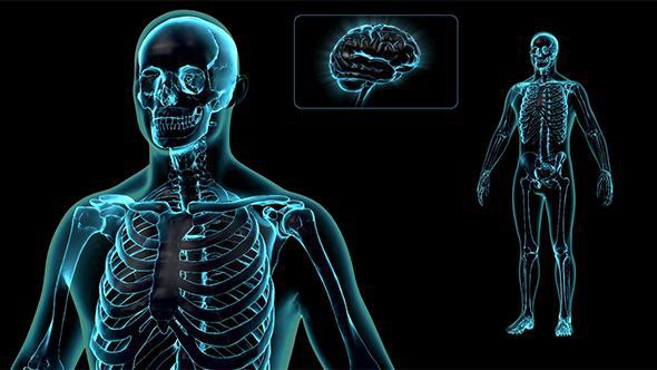 Sub Health Test